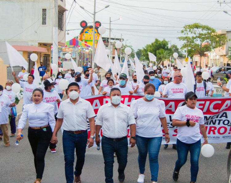 Democracia ciudadana